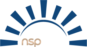 NS Project Management Consulting Logo