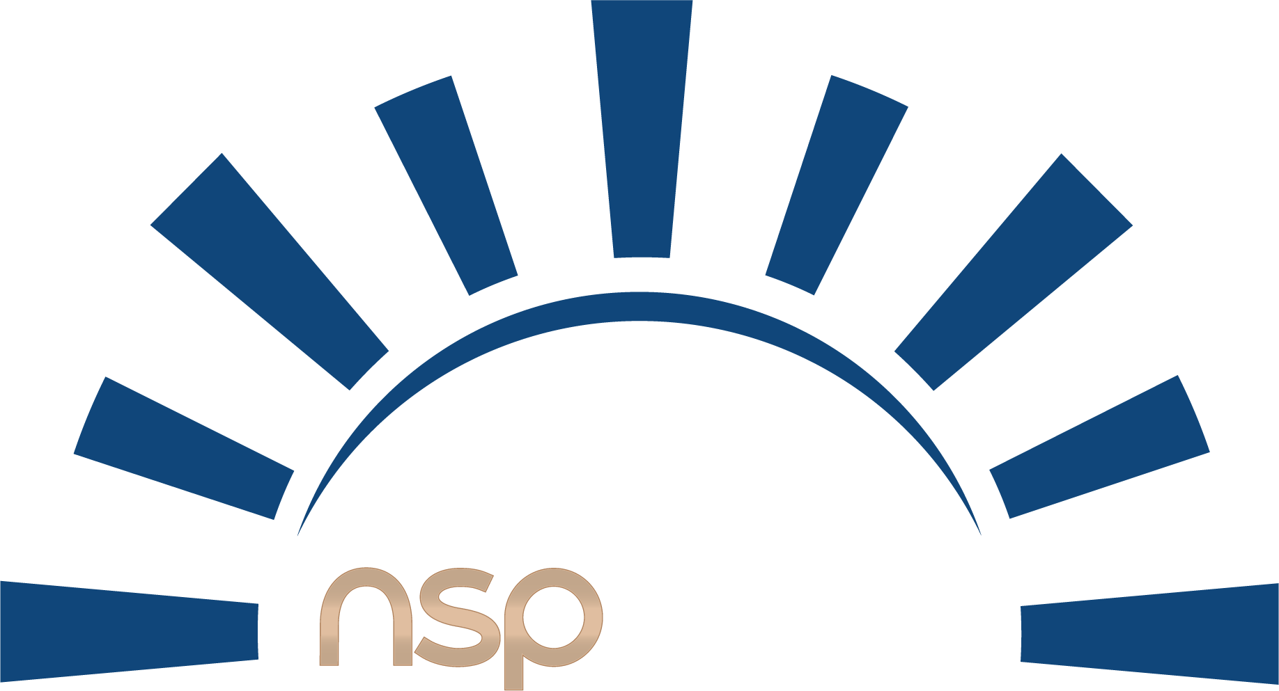 Ns Project Logo main-32